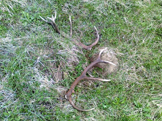 ...zase tak pekne nachystany,pekne spolu...