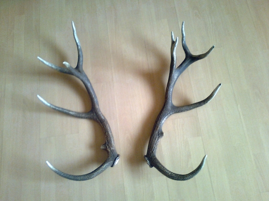 uz doma, len nahodit na lebku