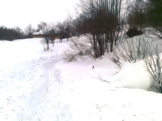 ...niekedy to  da aj poriadne zabrat...