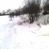 ...niekedy to  da aj poriadne zabrat...