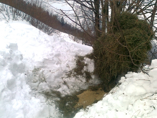 verim ze ich tato porcia potesi...