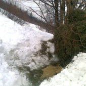 verim ze ich tato porcia potesi...