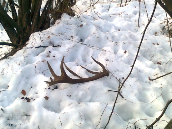 kenecne, tento rok moj prvy...