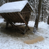 dnesne plnenie krmelca