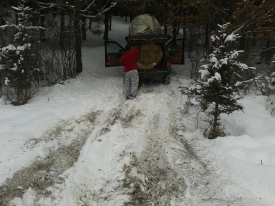 vcerajsie doplnanie krmelca bolo narocne,auto dostalo zabrat ale zvladli sme to...