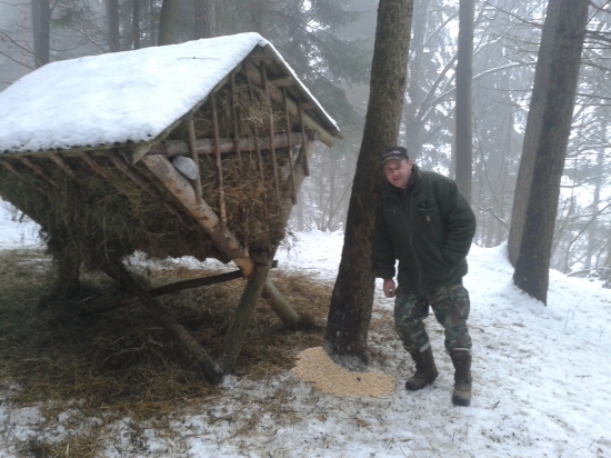 dnesne doplnanie krmelca