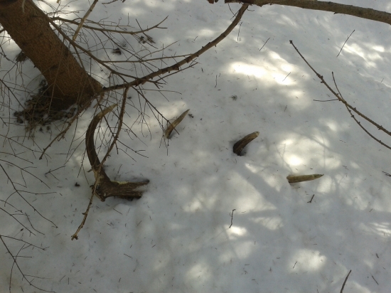 starsi,ale aj ten potesi...