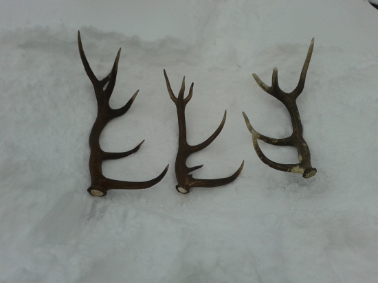 rok 2013 a dufam ze nie posledne