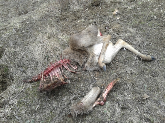 Tento rok uz treti kus