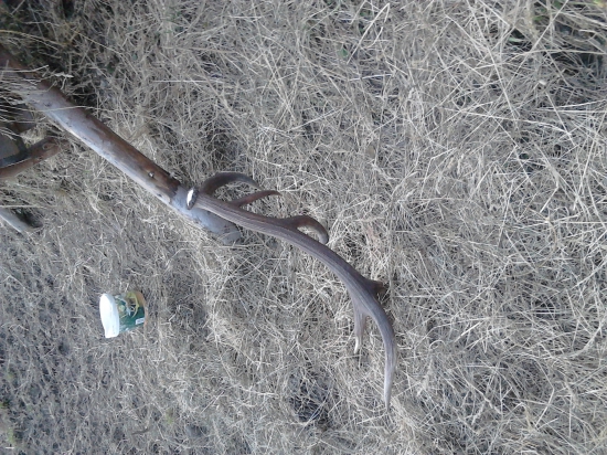 Poďakoval sa za krmenie