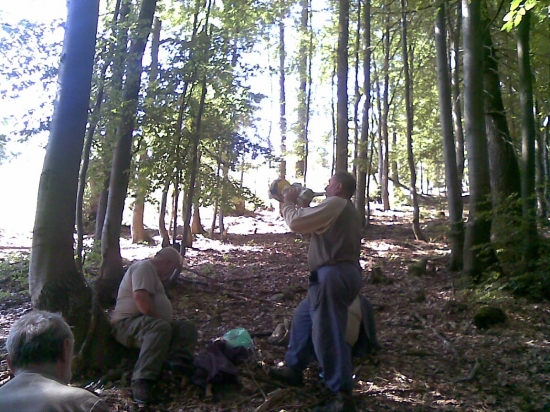 PZ Tetrov Kolarovice brigada