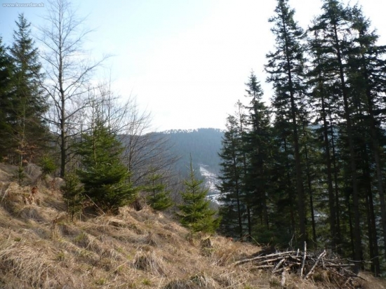 hore je snehu ešte dosť