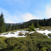 martinske hole