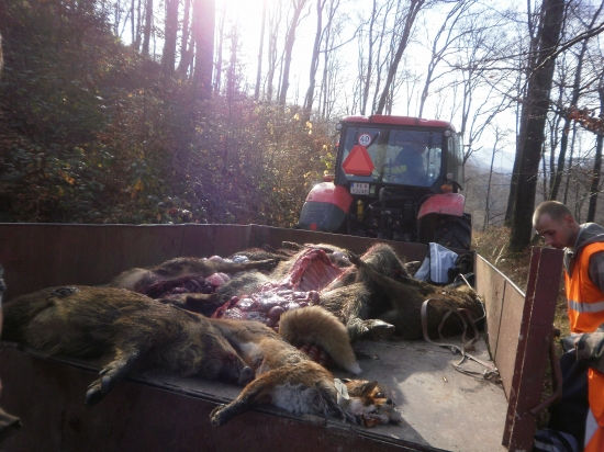 zo spoločnej poľovačky