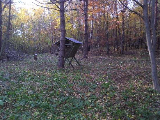 Príprava miesta pre nový krmelec