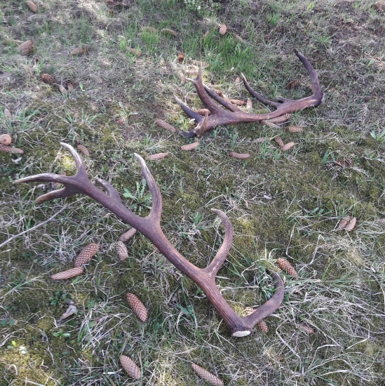 Po mesiaci opat spolu :)