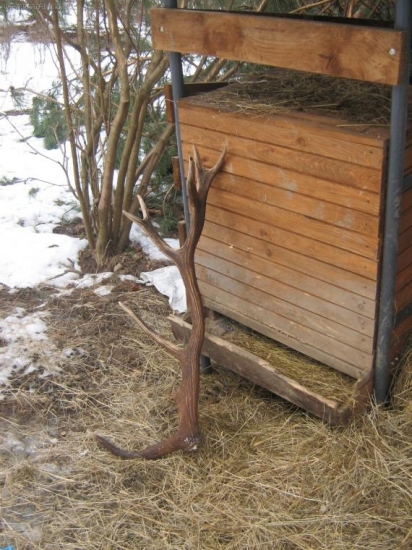 dnes sa mi pošťastilo!!!