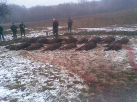 spoločna polovačka