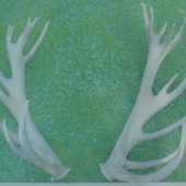 tomuto sa povie zhody!