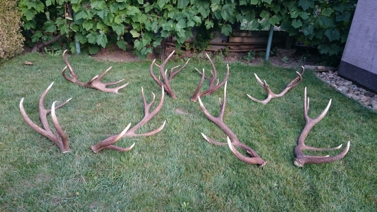 niečo z mojej a otcovej zbierky