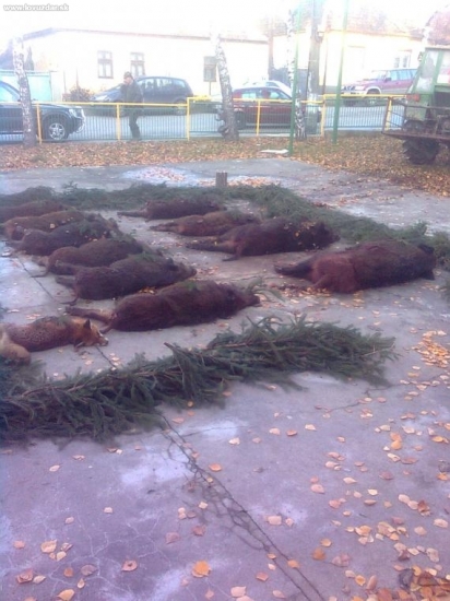 dnesna spolocna polovacka PZ vlacia skala oponice