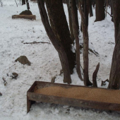 tip pre zhodarov: cestou do reviru priniest aspon 10kg  krmy