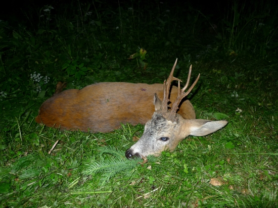 další rariťák do sbírky