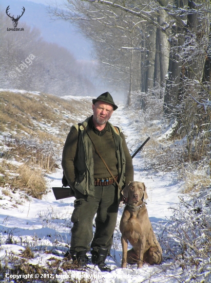GORAN (Z Papugovho dvora)