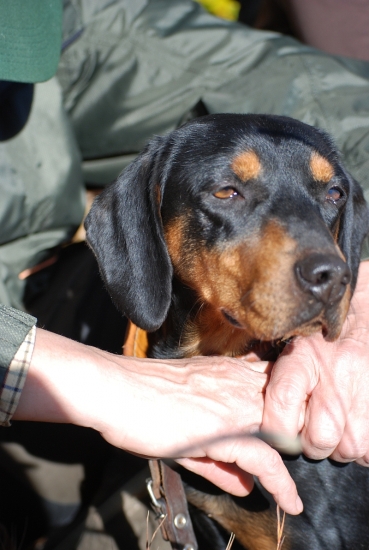 Čakanie na ďalšiu disciplínu