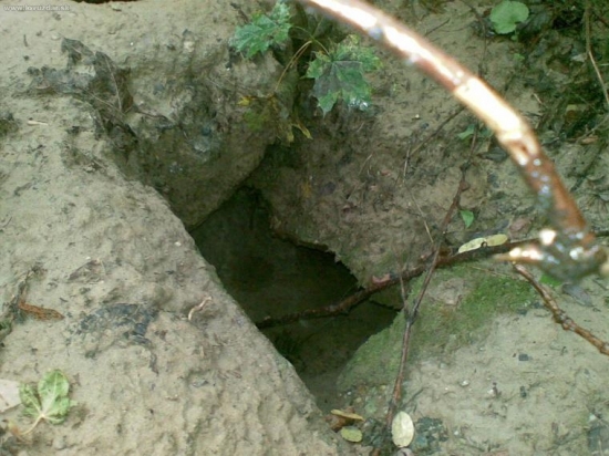 čo v tom asi býva?