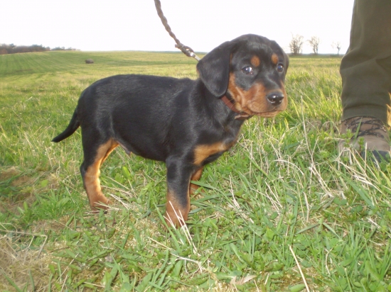 MAX Brunov dvor O: BARON Jankajov dvor M: CIRA spod Čerinkova