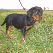 MAX Brunov dvor O: BARON Jankajov dvor M: CIRA spod Čerinkova