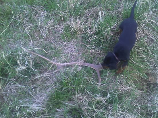 prvy tohtoročny  =)