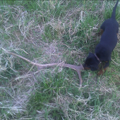 prvy tohtoročny  =)