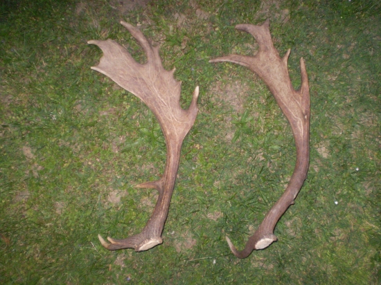 Tak dneska sa zadarilo =)