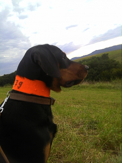 MAX Brunov dvor -7 mesiacov