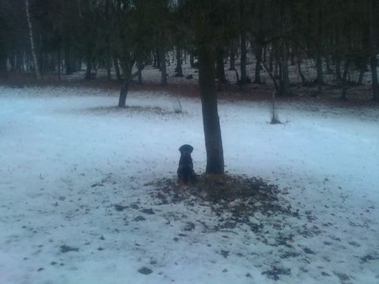 Trénujeme  odloženie =)