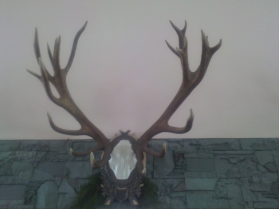 jeden stých lepšich