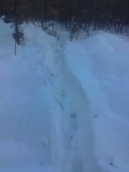 Valov po diviačikoch