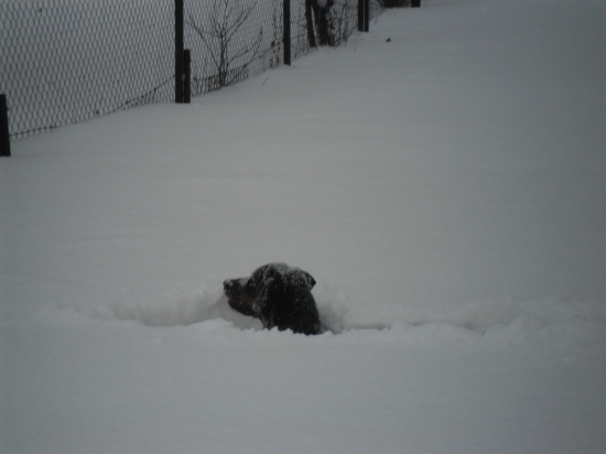 Trochu nam  nasnežilo