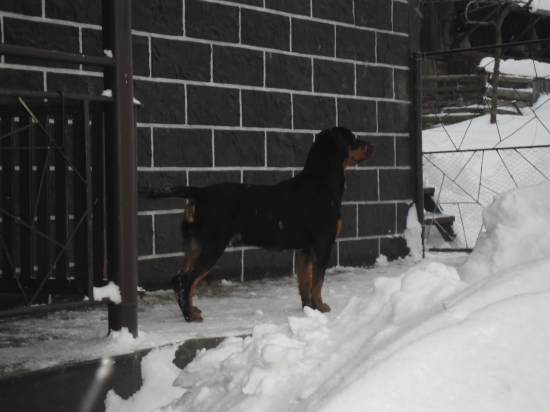 a už mame  rok... 2