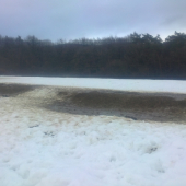 Po senáži ani stopy