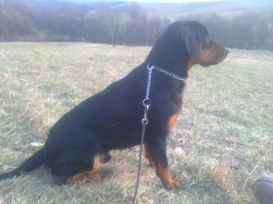 Keď sme odychovali ...