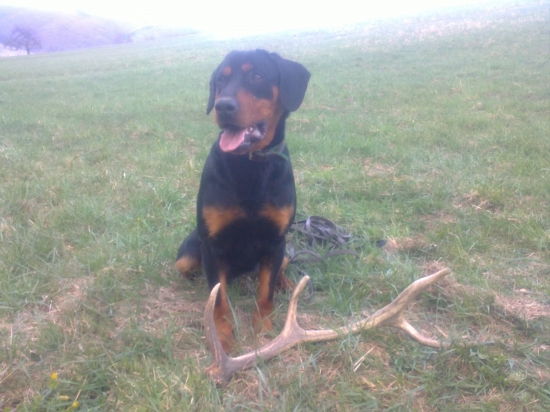 Max  a prvý tohtoročny zhod