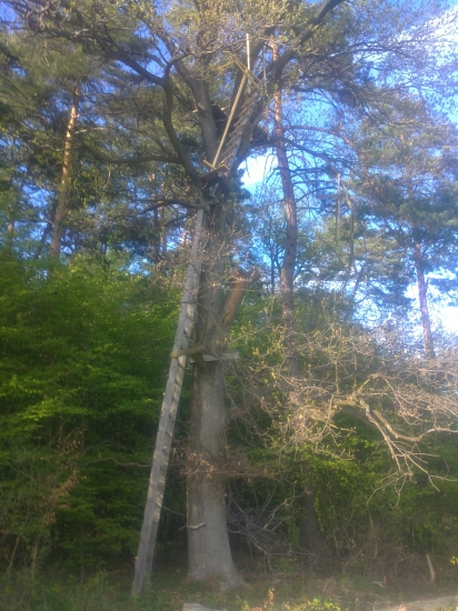 Jeden  stých  vyšších