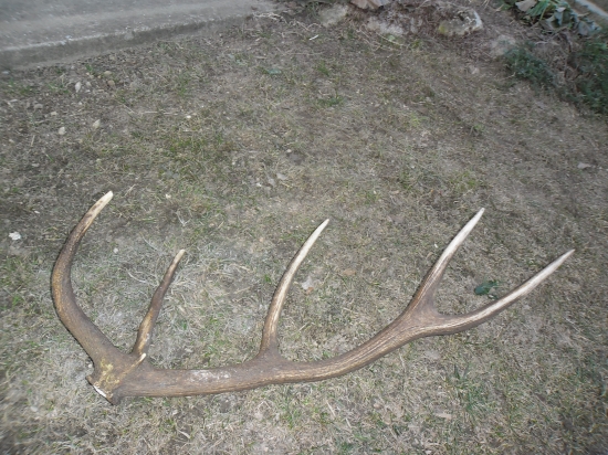 A znova sa zadarilo ...