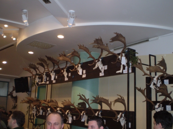 Chovatelska prehliadka Kanianka 2009