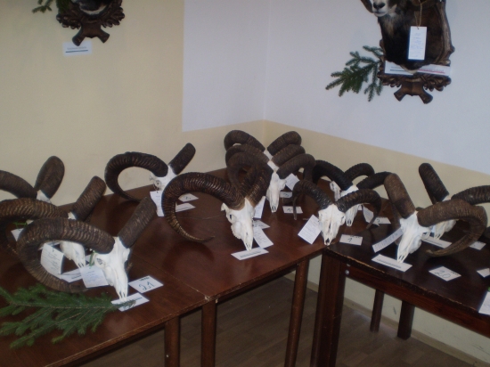 Chovatelska prehliadka Kanianka 2009