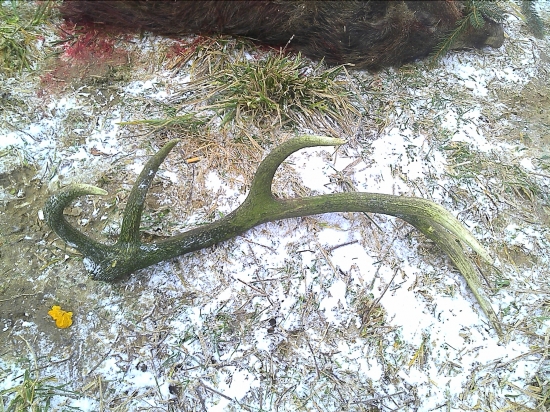 najdeny na spoločnej