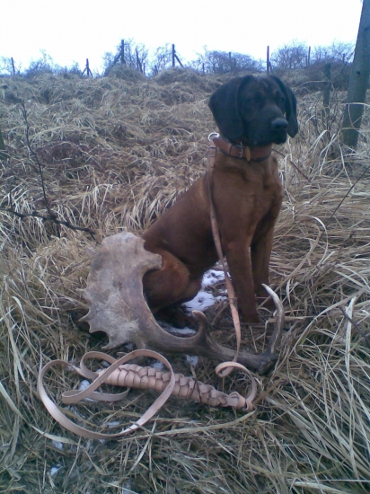 vlaňajší zhod z daniela